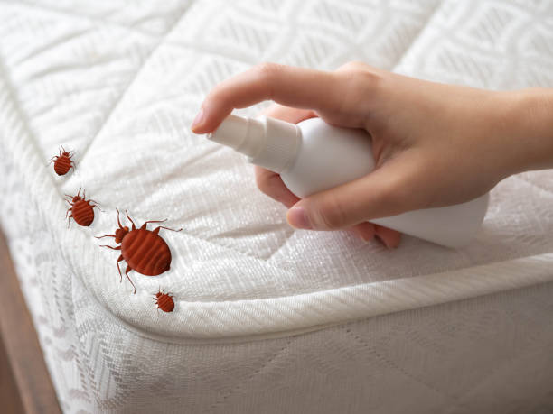 Best Pest Prevention Services  in Durand, MI